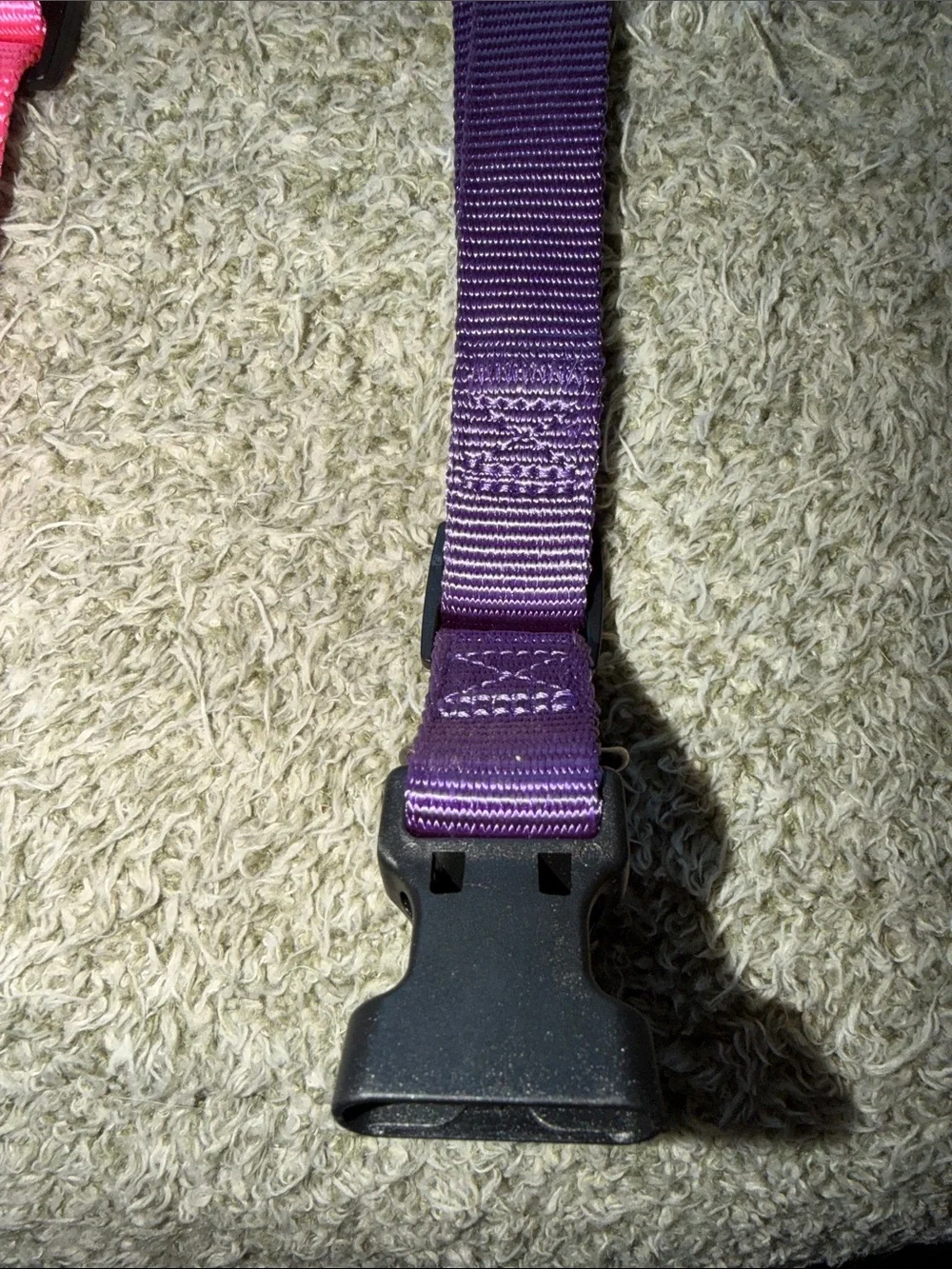 Top Paw two adjustable